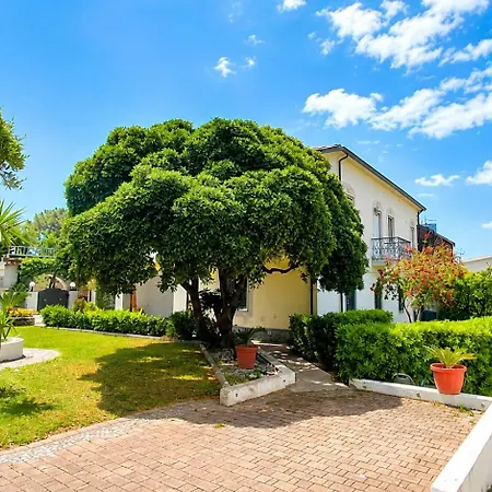 Villagus Bed & Breakfast Praia a Mare