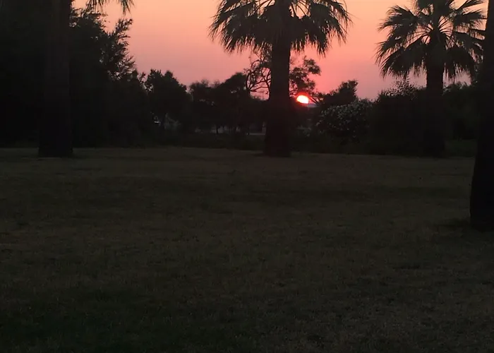 Villagus 普拉亚·阿马勒